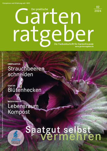 02 2026 Gartenratgeber
