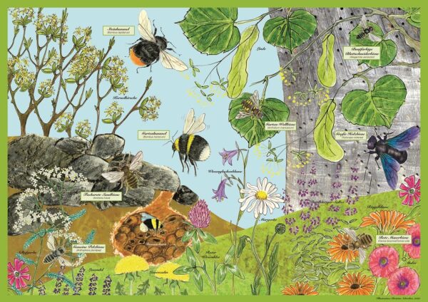 Kinder-Poster "Fleißige Bienen - Bestäuber in unseren Gärten"