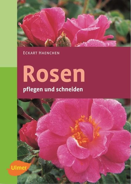 Rosen pflegen und schneiden - Der praktische Gartenratgeber