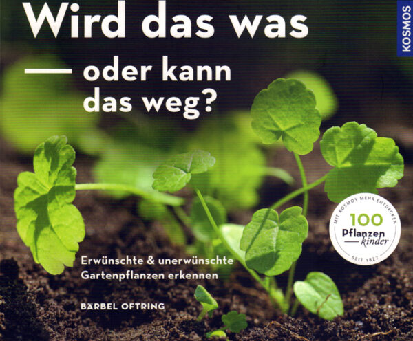 Wird das was - oder kann das weg