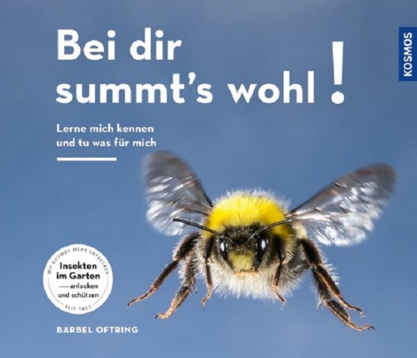 Bei dir summst's wohl!