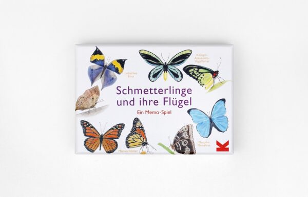 Schmetterlinge und ihre Flügel - Ein Memo-Spiel