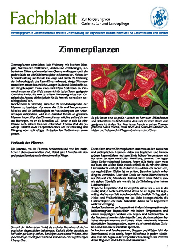 FB Zimmerpflanzen
