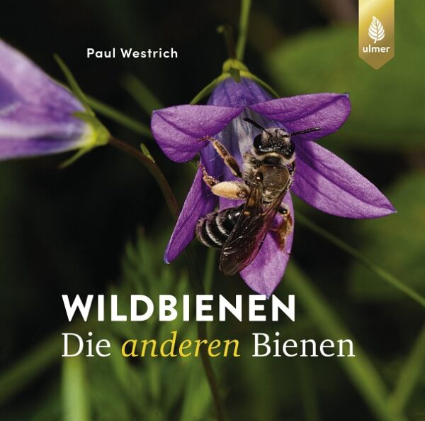 Wildbienen - Die anderen Bienen