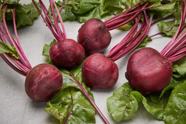 Rote Bete "Pablo"