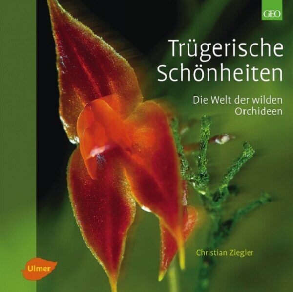 Trügerische Schönheiten, statt € 39,90