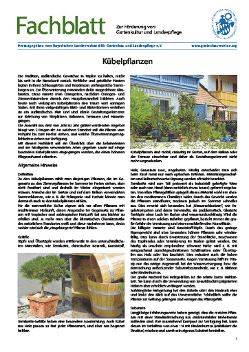 513281 Fachblatt Kuebelpflanzen