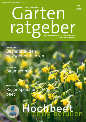 26 03 Gartenratgeber Klein