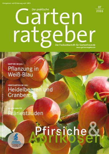 26 07 Gartenratgeber