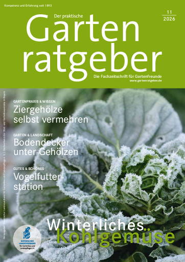 11 26 Gartenratgeber